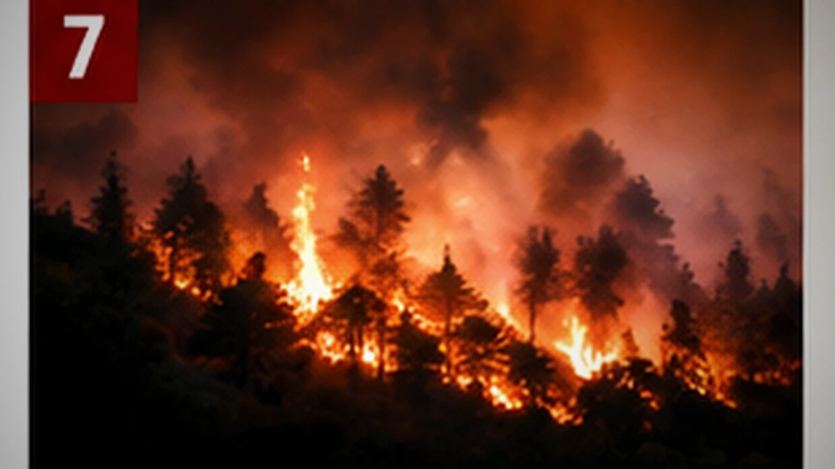 La lluvia ayuda en Bélgica, pero Europa sigue atrapada en una temporada de incendios récord